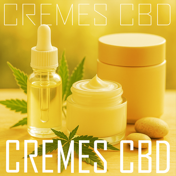 Crème visage et soins corps au CBD par CBD DIFFUSION